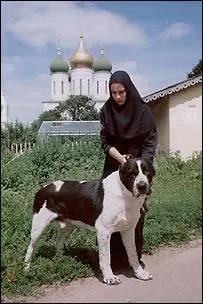 собак