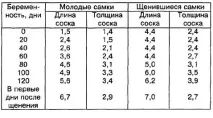 вагітності