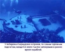 Бермудський