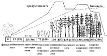 зибаловpdf