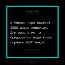 Що потрібно знати про Чорне море потрібно