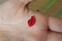Квіточка бузку та листочок бузку