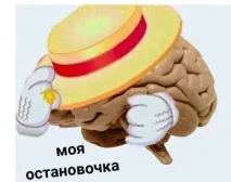 Що за прикол - моя зупинка Звідкипішов мем - моя зупинка звідкипішов