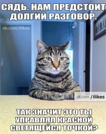 Що ви можете сказати, дивлячись у котячі очі, Рудий кіт зіниці