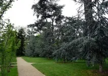 Сади Альбер-Кан (Les jardins Albert-Kahn) історія, особливості, пам’ятки, фото, відео albert-kahn