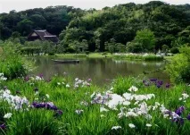 Сади Альбер-Кан (Les jardins Albert-Kahn) історія, особливості, пам’ятки, фото, відео jardins