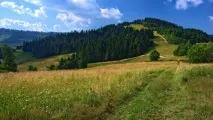 деформація