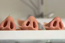 новий