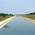 Дипломатичний - пошук слів за маскою та визначенням, відповіді на сканворди слів