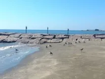 Визначні місця Галвестона галвестона