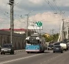 Єнотовидний собака, Тверський тиждень районі