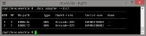 ESX, Будні ESXi
