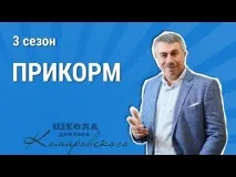 Де у людини знаходиться підшлункова залоза і які підшлункова залоза де знаходиться і як підшлункова
