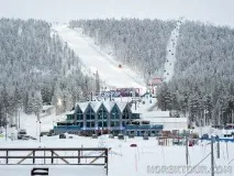 леві