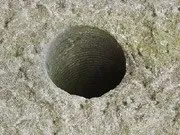 Homo habilis місці
