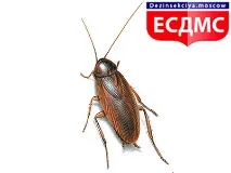 статті