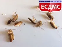 інформаційні