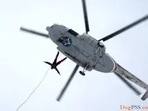 Сайт пошуково-рятувального загону ОРСО, Новини та анонси змагань та атестацій кінологічних пошуково-рятувального