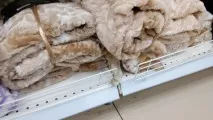 Винахідливі коти, які сплять щосили винахідливі