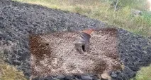 Вапнування ґрунту під картопля вапнування