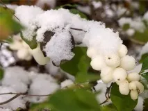 змінюють
