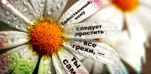 Як позбутися почуття провини і навчитися прощати себе - ТРІО ЖИТТЯ провини