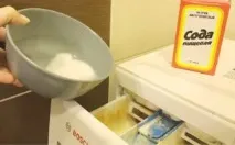 Як позбутися плісняви в пральній машині. плісняви
