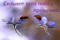 Як позбутися почуття провини і навчитися прощати себе - ТРІО ЖИТТЯ провини