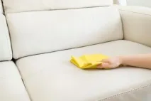 Як легко позбутися запаху сечі на дивані в домашніх умовах сечі