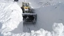 лавини