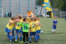 Як зароджувався карельський спорт, СПОРТ, АІФ Карелія карельський
