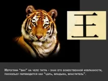 Як у клубі «HIBARI» зустрілися Люди та Кішки - Центр коміксів та візуальної культури РДБМ клубі