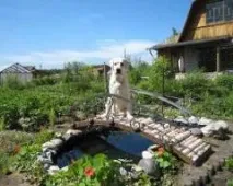 захистити