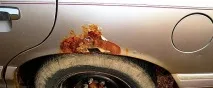 Як захистити автомобіль від корозії корозії