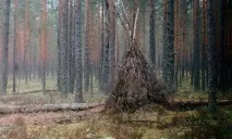 До чого сниться Шалаш уві сні, сонник бачити Шалаш що означає сонник