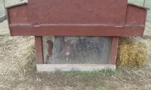 Каркасний курник на 6-8 курей покроково креслення з розмірами відео покроково