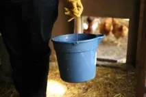 Каркасний курник на 6-8 курей покроково креслення з розмірами відео каркасний