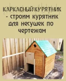 Каркасний курник на 6-8 курей покроково креслення з розмірами відео курник