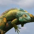 Їстівне () 6 букв - пошук слів по масці та визначенню, відповіді на сканворди пошук