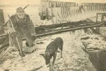 З ДНЕМ ПЕРЕМОГИ! В ПАМ’ЯТЬ ПРО СОБАКИ ВІЙНИ - 1 днем
