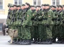З ДНЕМ ПЕРЕМОГИ! В ПАМ’ЯТЬ ПРО СОБАКИ ВІЙНИ - 1 собак