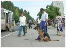 З ДНЕМ ПЕРЕМОГИ! В ПАМ’ЯТЬ ПРО СОБАКИ ВІЙНИ - 1 собаки