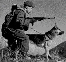 З ДНЕМ ПЕРЕМОГИ! В ПАМ’ЯТЬ ПРО СОБАКИ ВІЙНИ - 1 днем