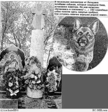 З ДНЕМ ПЕРЕМОГИ! В ПАМ’ЯТЬ ПРО СОБАКИ ВІЙНИ - 1 війни
