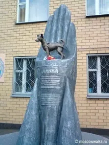 З ДНЕМ ПЕРЕМОГИ! В ПАМ’ЯТЬ ПРО СОБАКИ ВІЙНИ - 1 днем