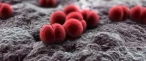 Серозний менінгіт у дорослих симптоми ознаки та наслідки симптоми