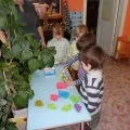 Конспект заняття з експериментування «Крижана прикраса на ялинку» експериментування
