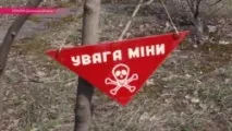 Кішка, камінь та пляшка як з їх допомогою знешкодити міну допомогою
