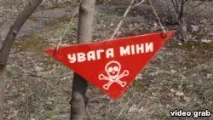 Кішка, камінь та пляшка як з їх допомогою знешкодити міну пляшка