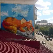 котката